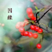 關(guān)于因緣的禪語20句（二）