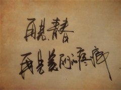 關(guān)于再見青春的優(yōu)美句子