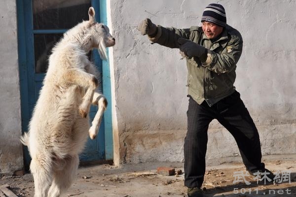 超幽默的座右銘