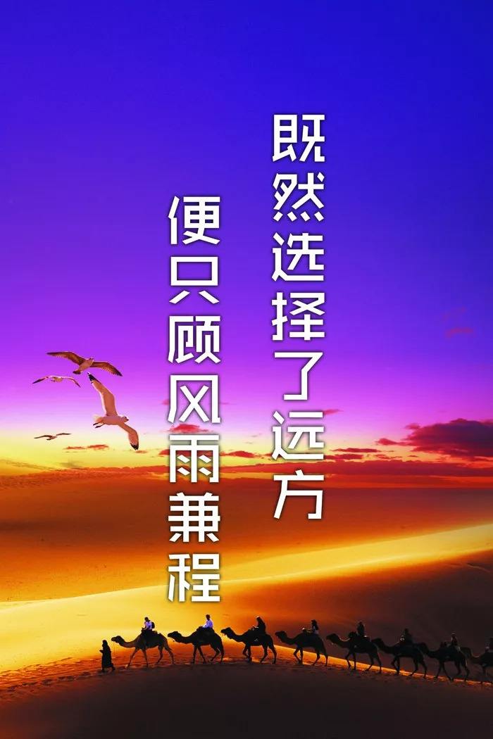 人生不后悔的句子