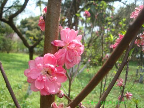 開(kāi)心幸福的英文句子    平淡幸福的唯美英語(yǔ)句子