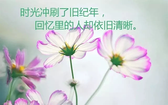 努力學(xué)習(xí)積極向上的座佑銘