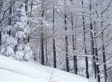 下雪時(shí)發(fā)朋友圈的好句 文案