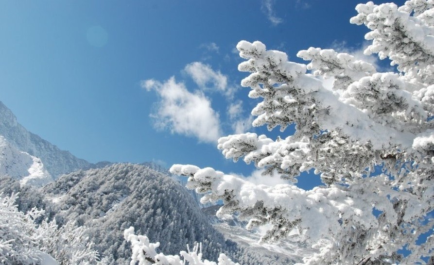 描寫冬天下雪的句子