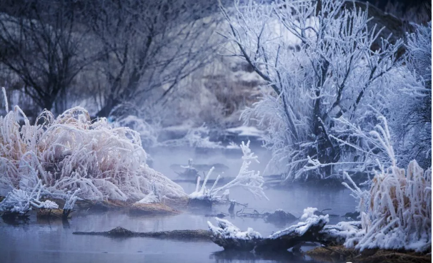 下雪發(fā)朋友圈的精美句子