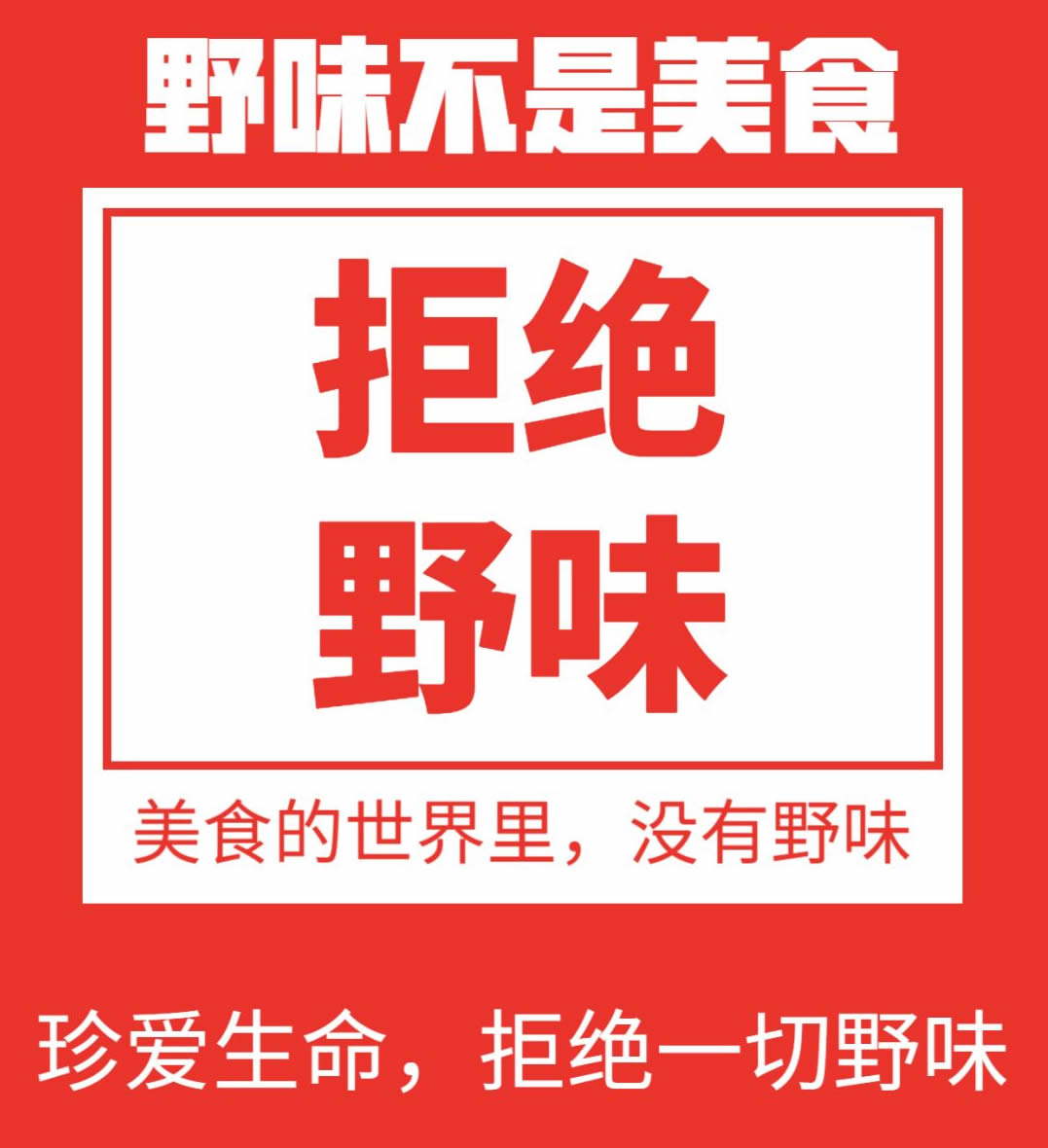 拒絕野味從我做起的說說 拒絕野味倡議圖片