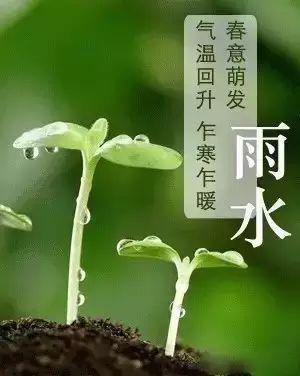 二十四節(jié)氣雨水的詩(shī)句