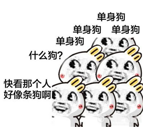 單身狗的情人節(jié)句子說說