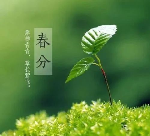 關于春分節(jié)氣的詩句