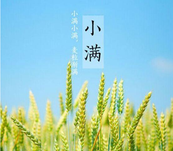 小滿的詩(shī)句