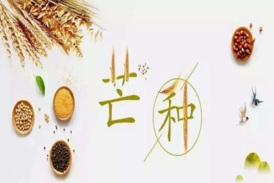 芒種節(jié)氣古詩(shī)詞